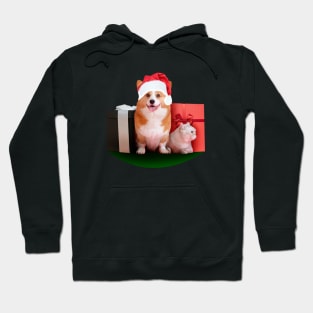 Dog and cat with presents Hoodie